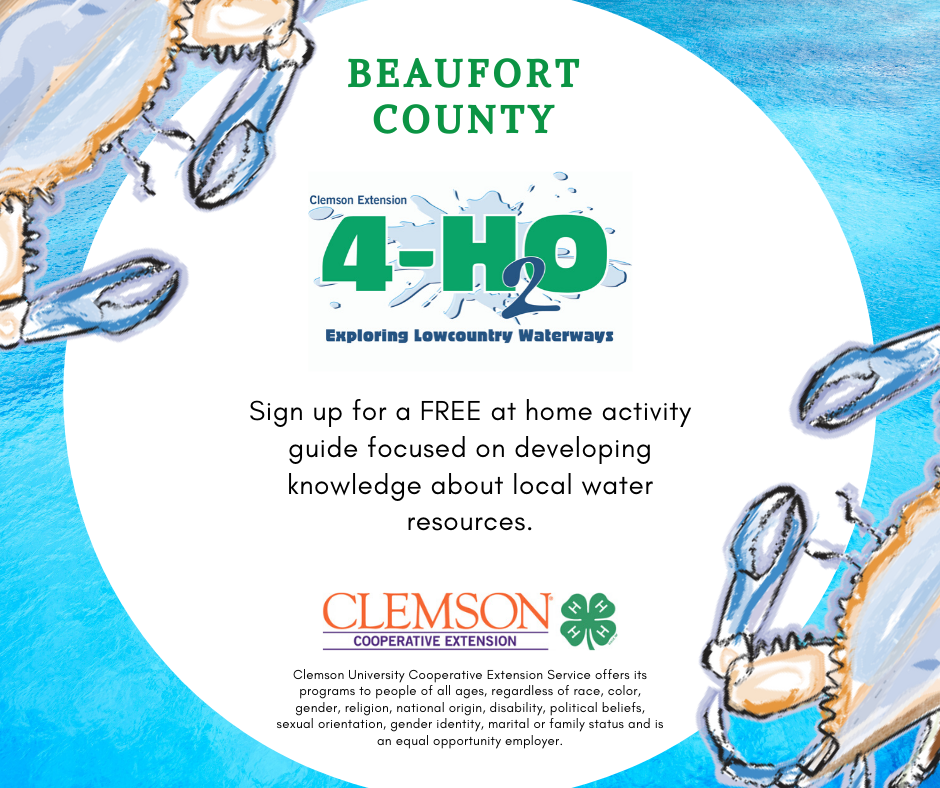 Beaufort County 4-H20 flyer